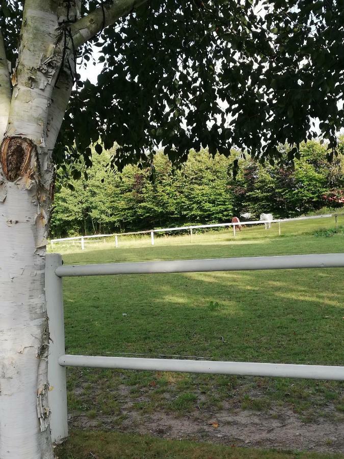 Tankefuld Living'S Horsefarm Apartment Svendborg Luaran gambar